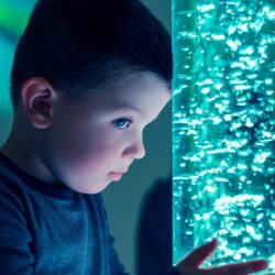 Clinical Corner: Understanding Sensory Differences